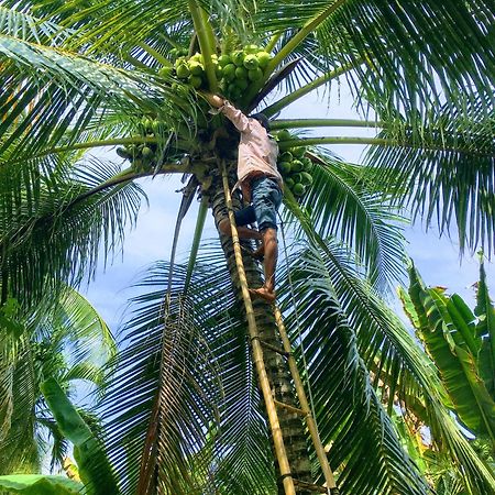 Coco Happy Farm Villa Ben Tre Dış mekan fotoğraf