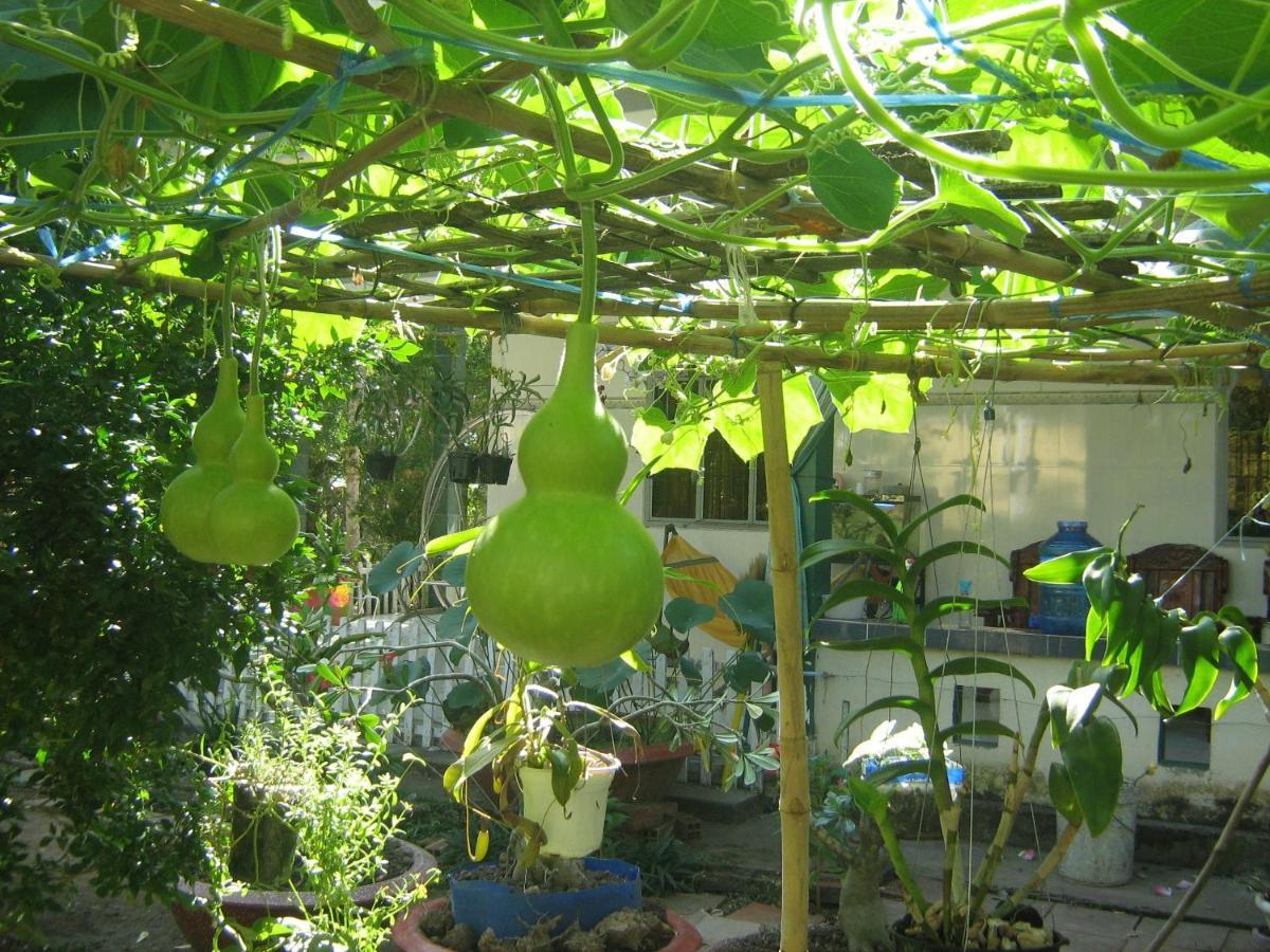 Coco Happy Farm Villa Ben Tre Dış mekan fotoğraf