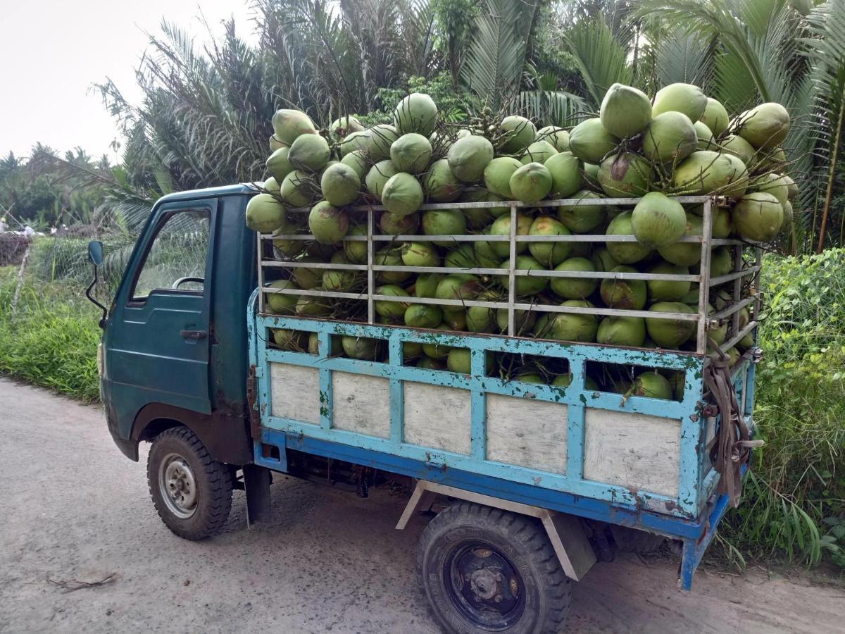 Coco Happy Farm Villa Ben Tre Dış mekan fotoğraf