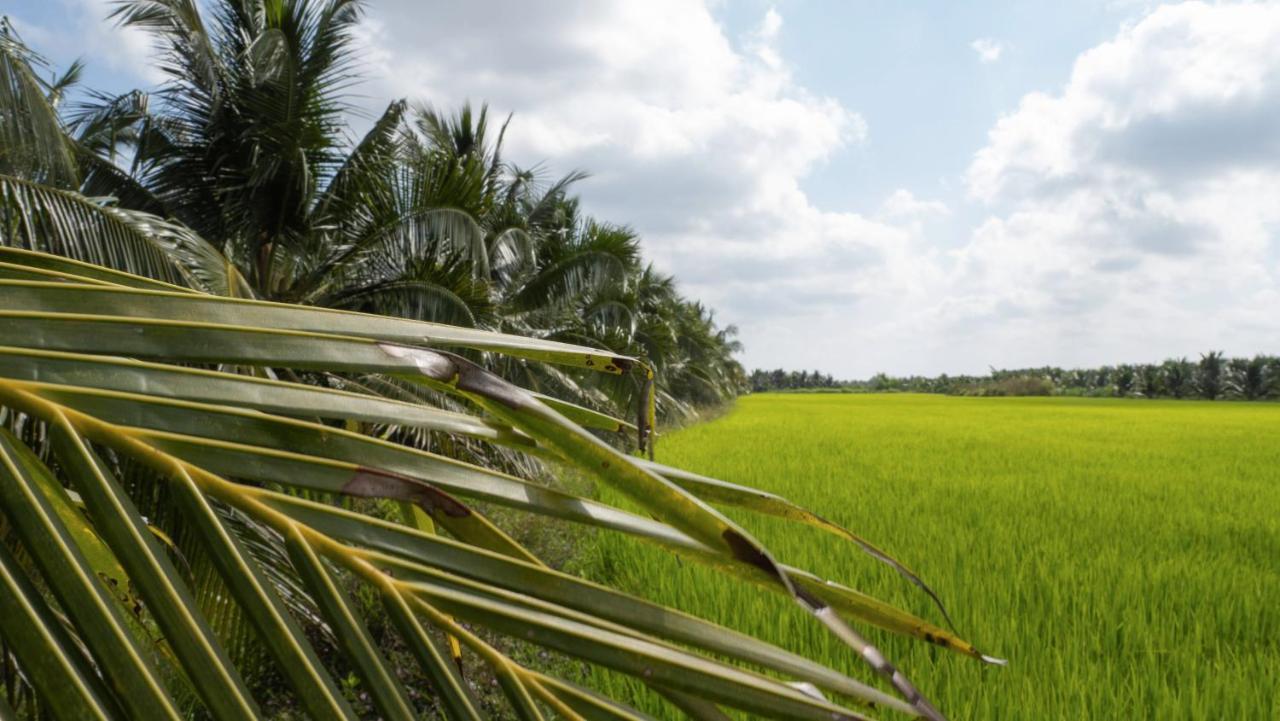 Coco Happy Farm Villa Ben Tre Dış mekan fotoğraf