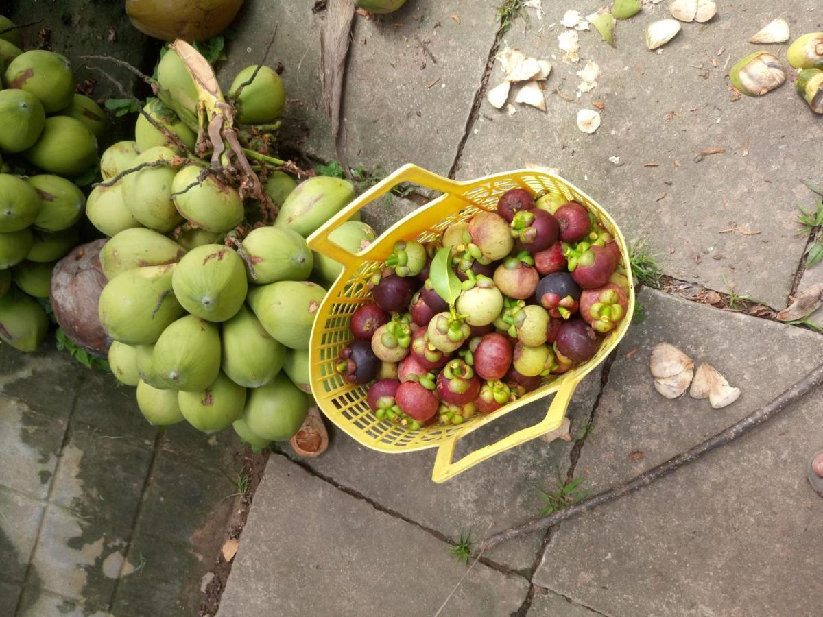 Coco Happy Farm Villa Ben Tre Dış mekan fotoğraf