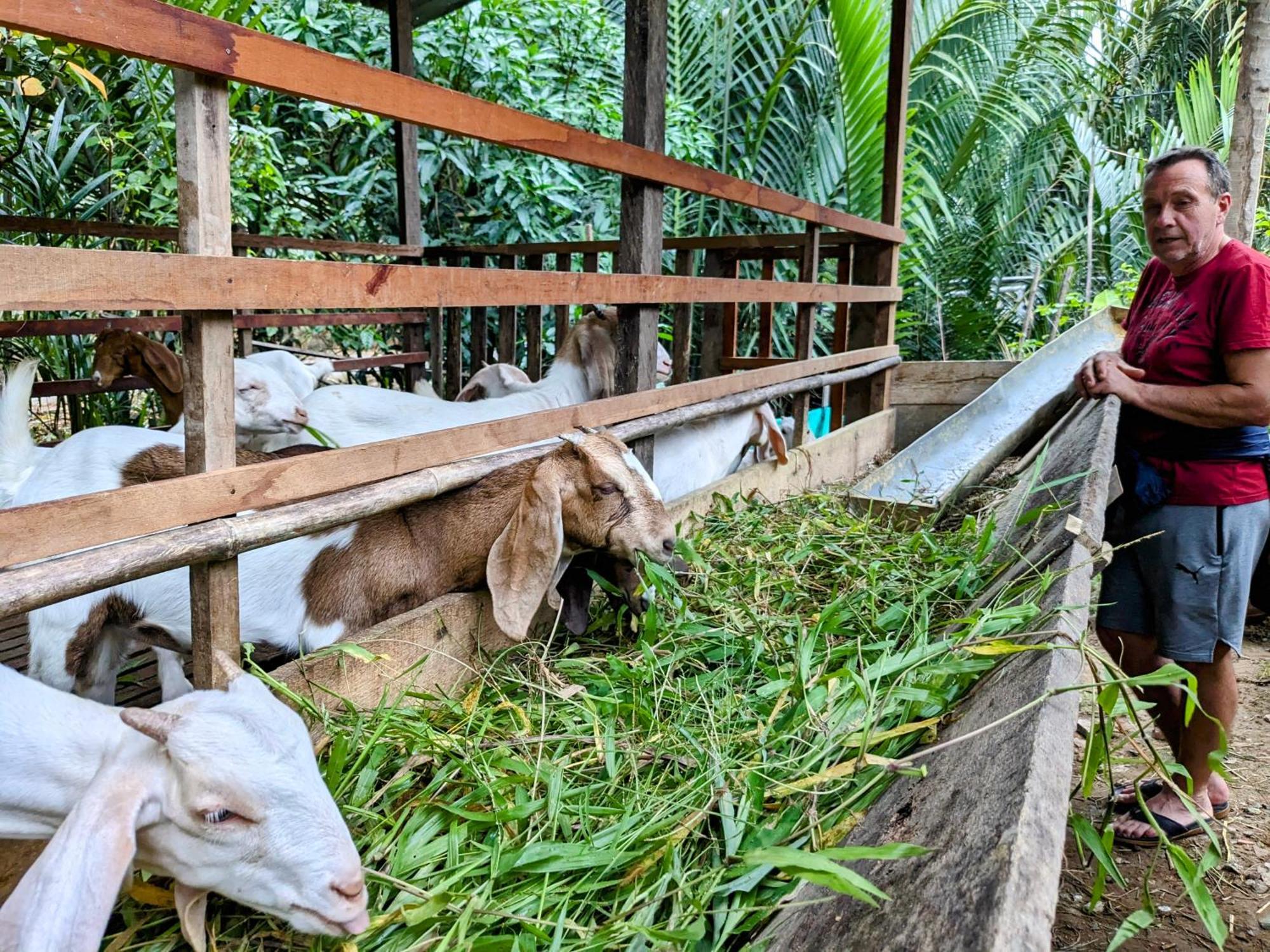 Coco Happy Farm Villa Ben Tre Dış mekan fotoğraf